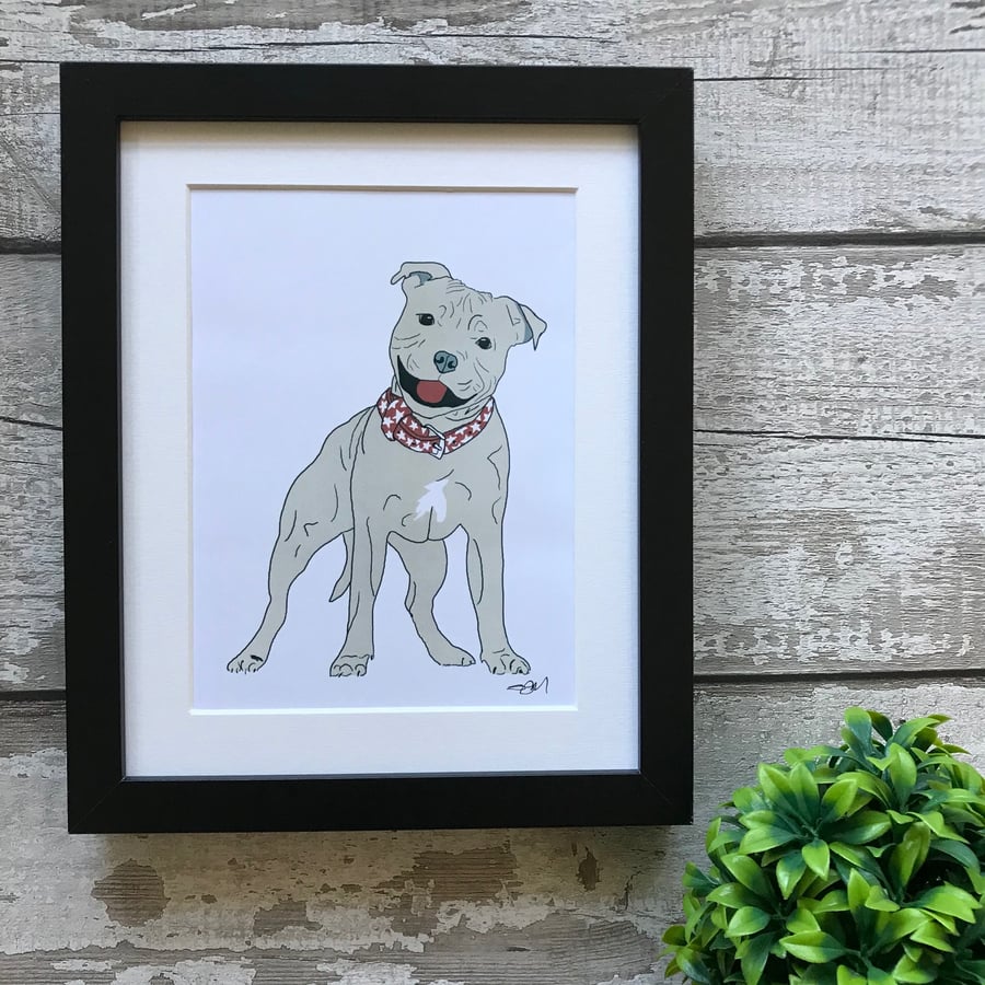 Staffordshire Bull Terrier - Mounted Print 