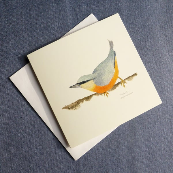 Nuthatch square card