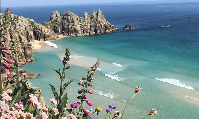 Driftwood Reflections