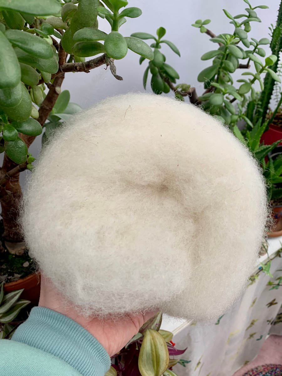Rare breed Portland sheep batt, fibre, for spinning.