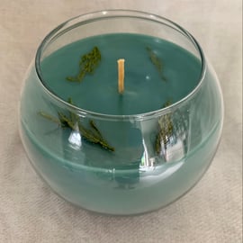 Winter Pine Scented 100% Organic Soy Wax Bowl Candle