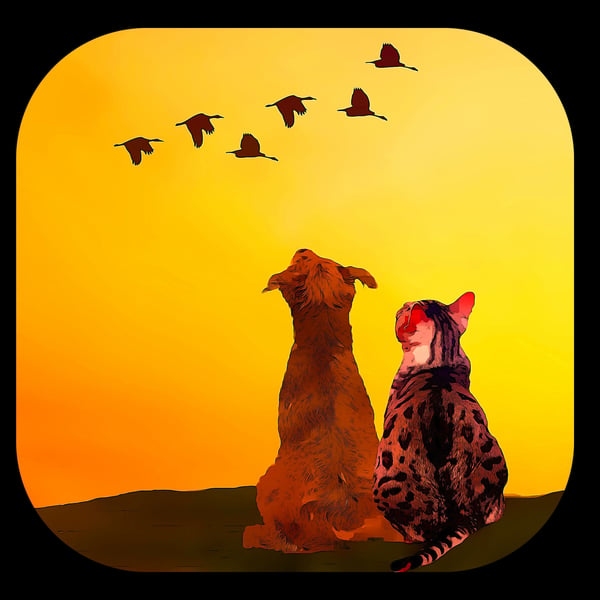 Dog and Cat Looking at the Sky Coaster- High Qulity Design, 9.cm x 9.cm