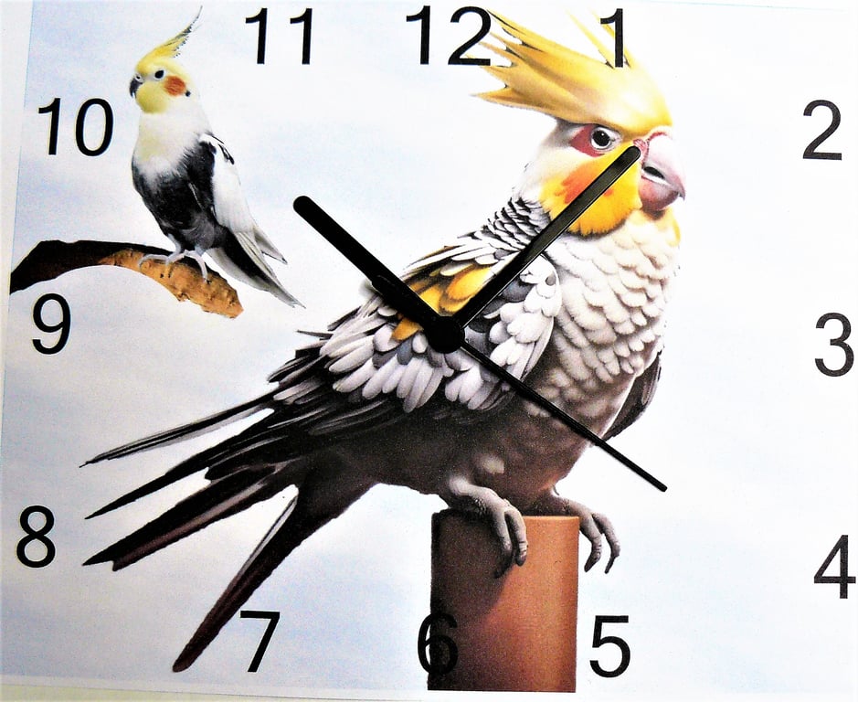 cockatiel wall clock parrot clock