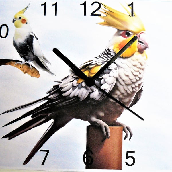 cockatiel wall clock parrot clock