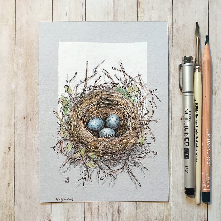 Blackbird Nest with eggs - Original drawing, wall art