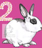 Patch the Rabbit - 2 Card - Image 1