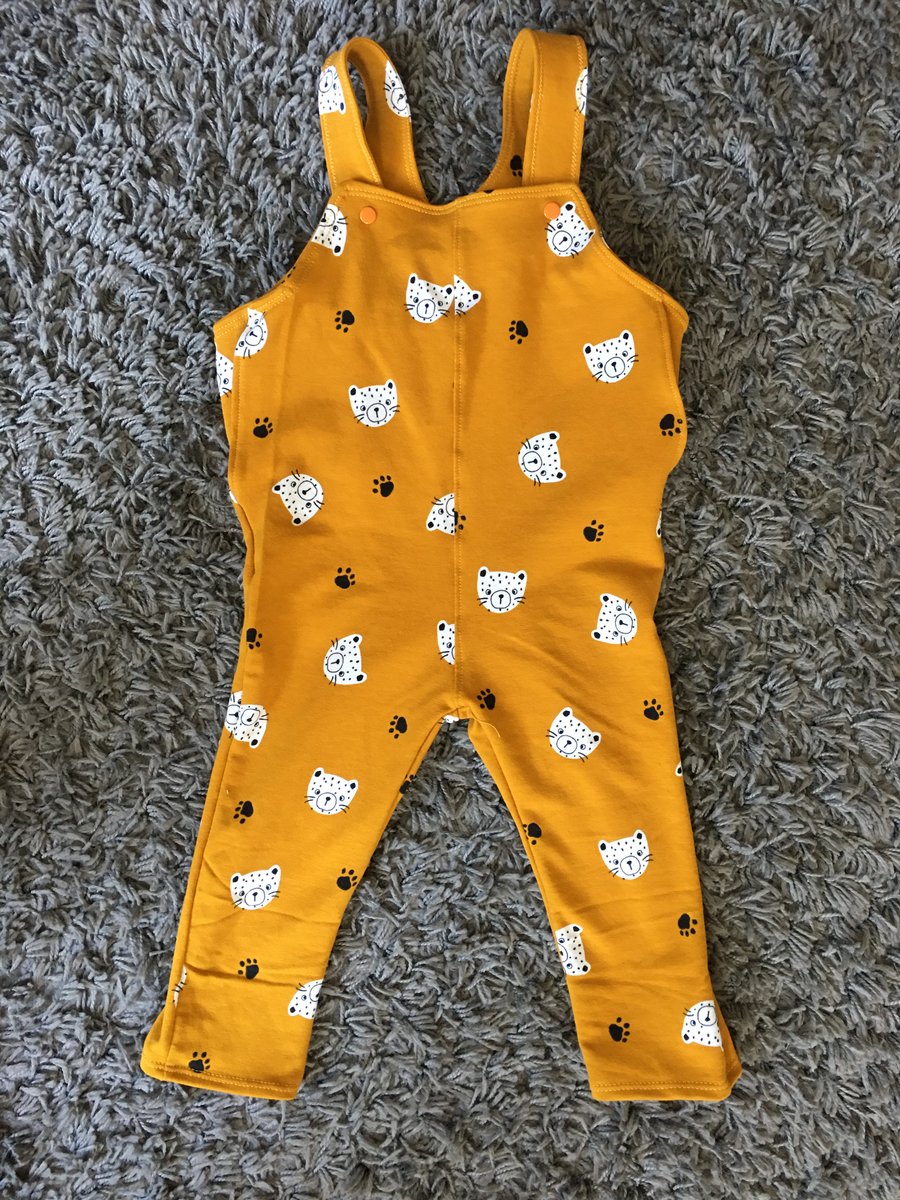 Dungarees ( age 9-12 months) animal