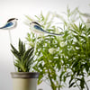 long-tailed tit on a stem for your pot plant