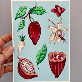 Art print sacred cacao plant. Art work. Art. Hand drawn. Illustration. Botanical