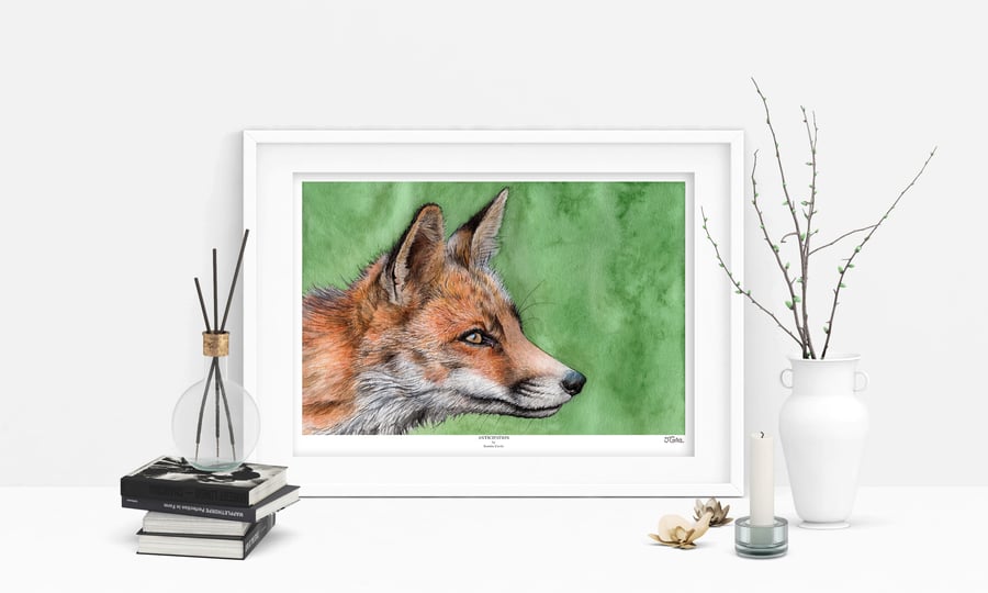 Fox Art Print - 'Anticipation' - A5 A4 A3 Wildlife Art Print
