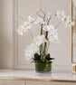 Luxury White Orchid Arrangement in Glass Vase - Premium Faux Floral Centerpiece 