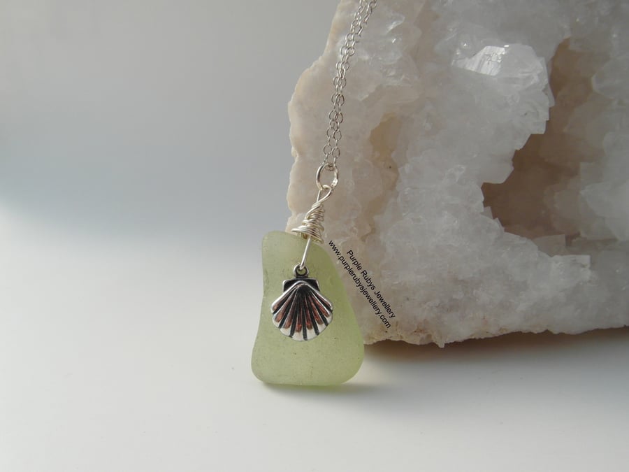 Pale Green Cornish Sea Glass with Sea Shell Charm Necklace N363