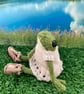 Knitted frog dressed