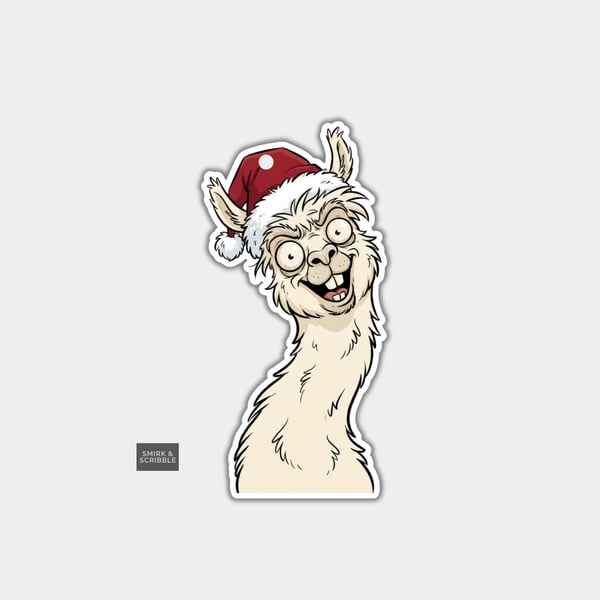 Unique Funny Christmas Gift Tags For Adults, 6pk - Posing Cheeky Llama