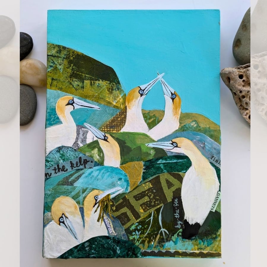 Coastal Art Mixed Media - Seabirds Gannets Amongst The Rocks’