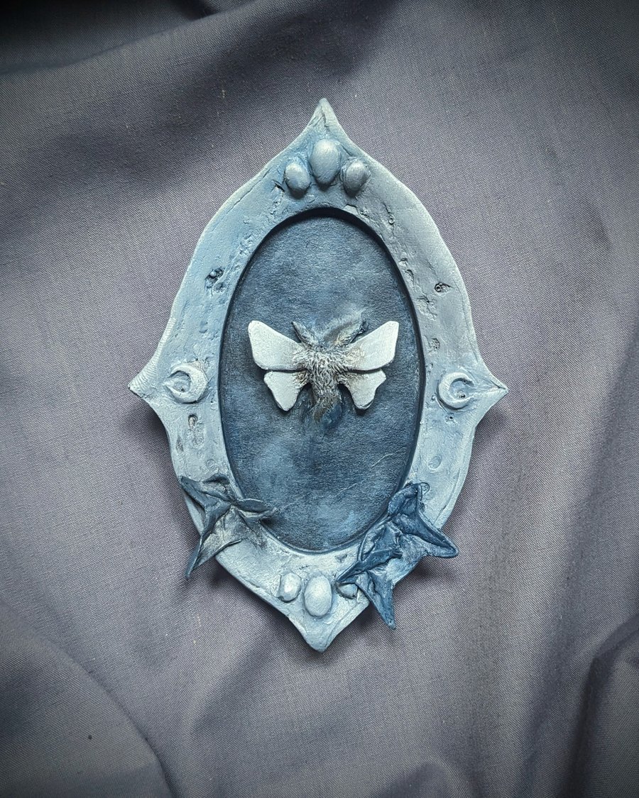 Unseen xi - small, strange, beautiful moth and mirror sculpture