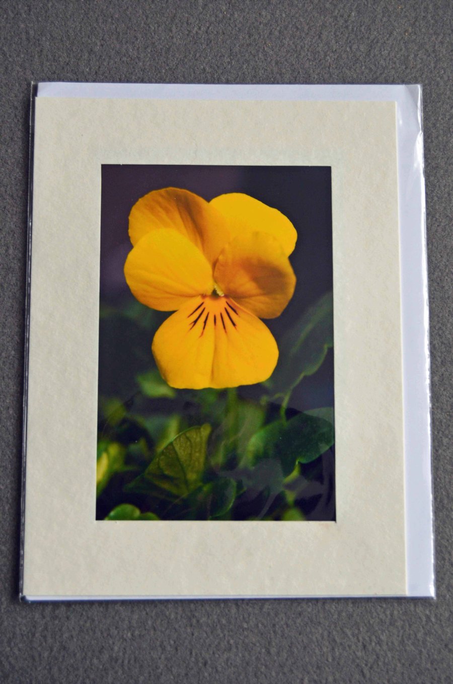 medium greetings cards - floral photographic