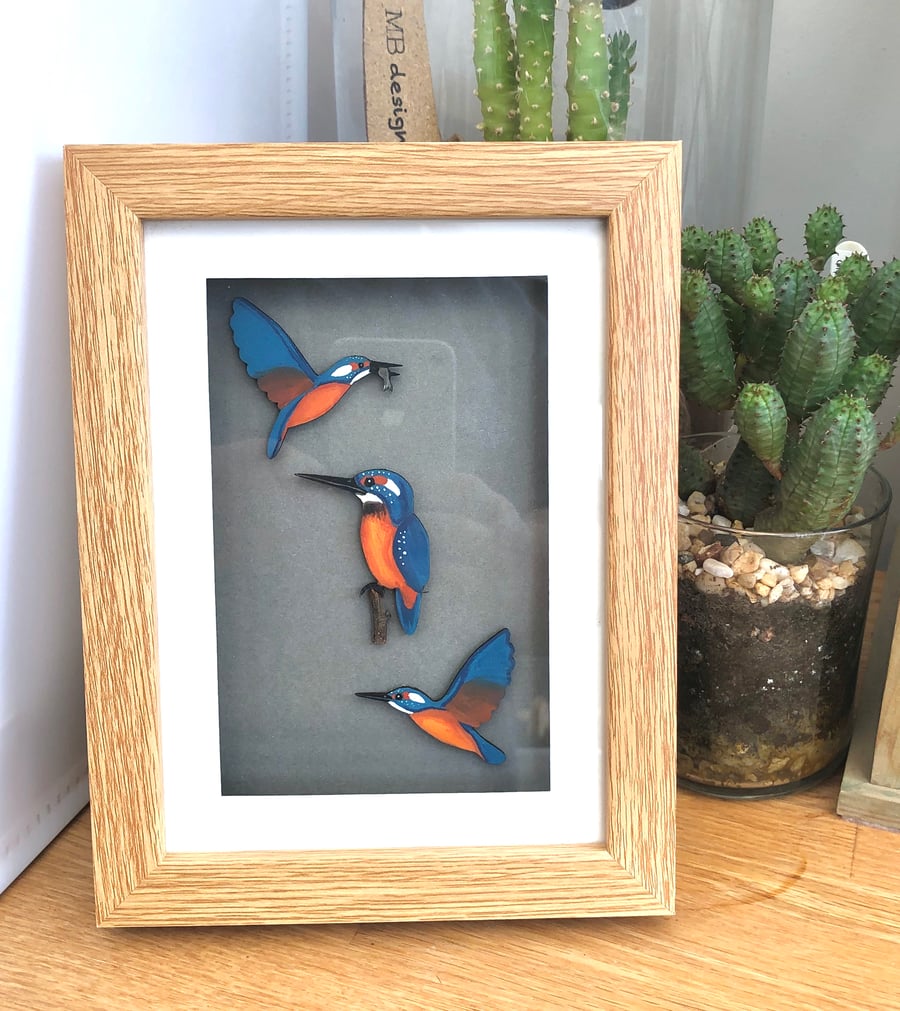 Kingfisher box frame picture