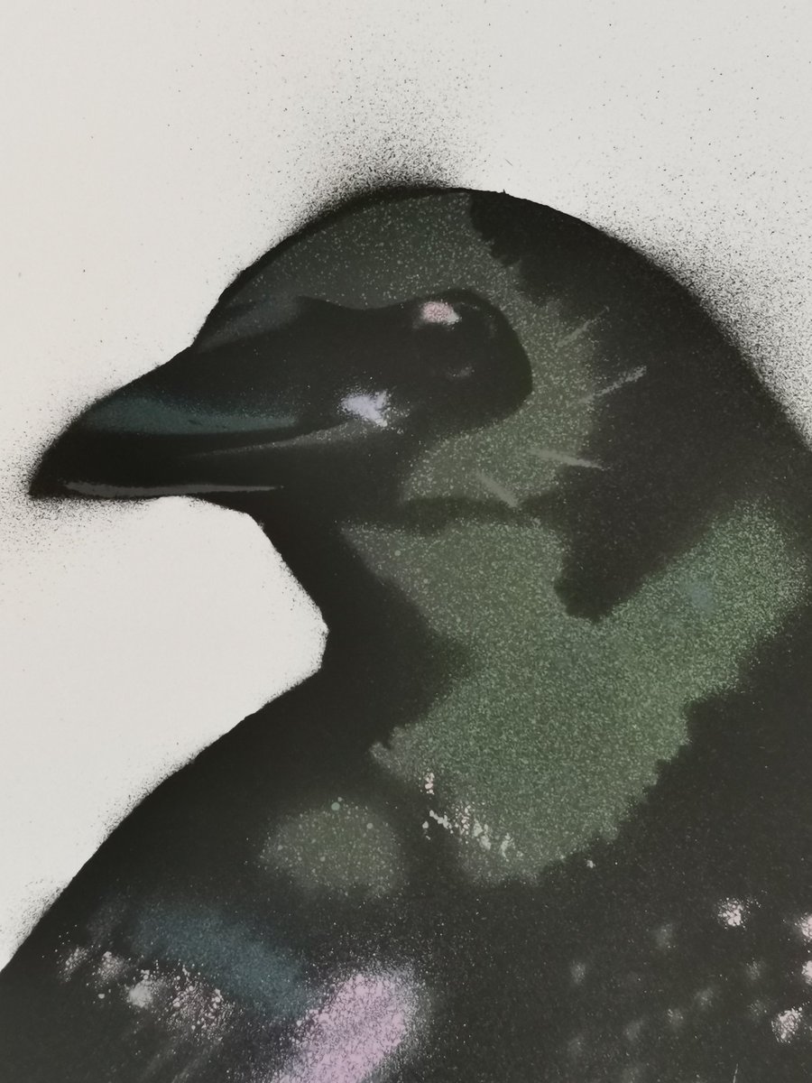 Corvid