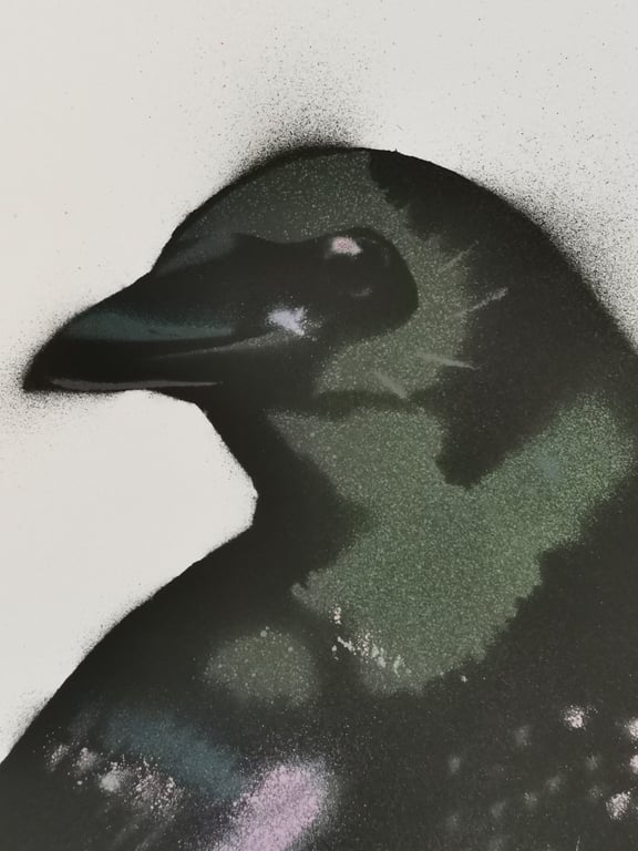 Corvid