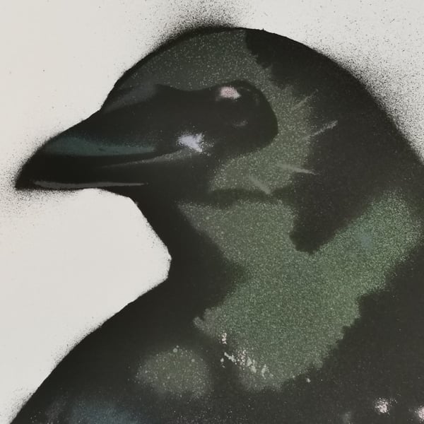 'Corvid' Acrylic Spray-paint Art