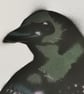 Corvid