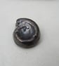 Medium Metallic Silver Ammonite Ceramic Bead - Image 1