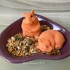 Cute Guinea Pigs Vegan Soap Gift Box: Adorable Gift for Kids and Hamster Lovers