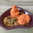 Cute Guinea Pigs Vegan Soap Gift Box: Adorable Gift for Kids and Hamster Lovers