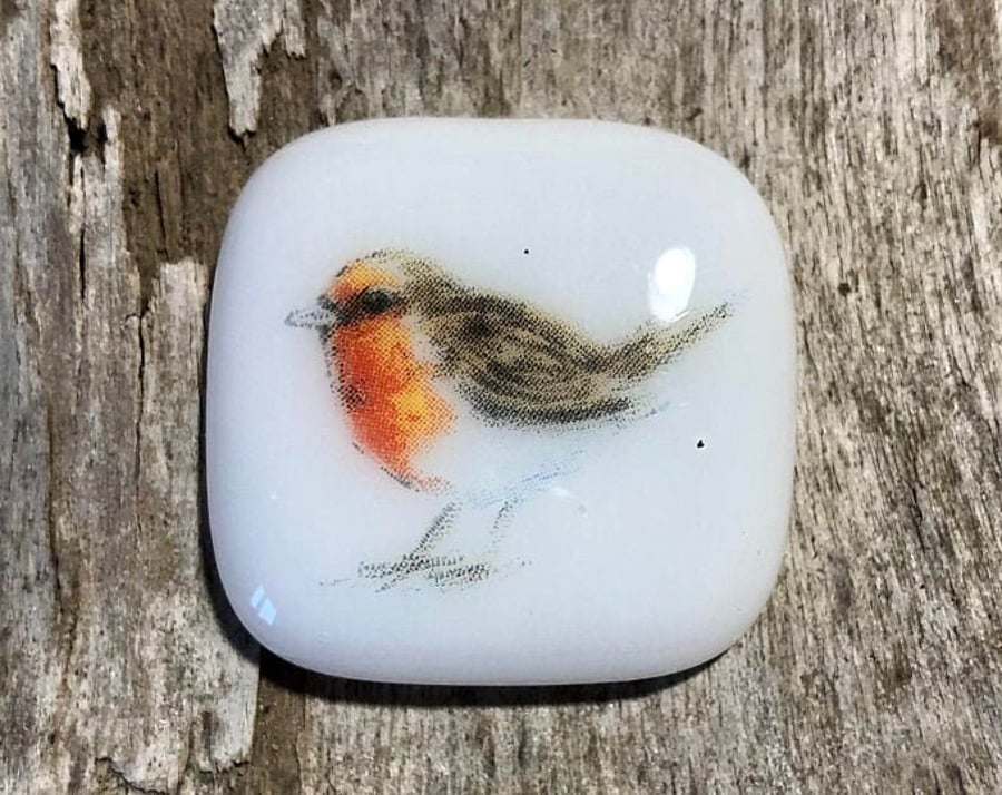 Robin In Your Pocket Robins Appear When Angels Are Near When A Loved One Is Near