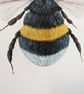 White-Tailed Bumblebee Painting - Image 3