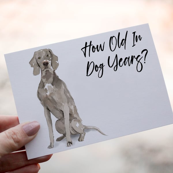 Weimaraner Dog Birthday Card, Dog Birthday Card, Personalized