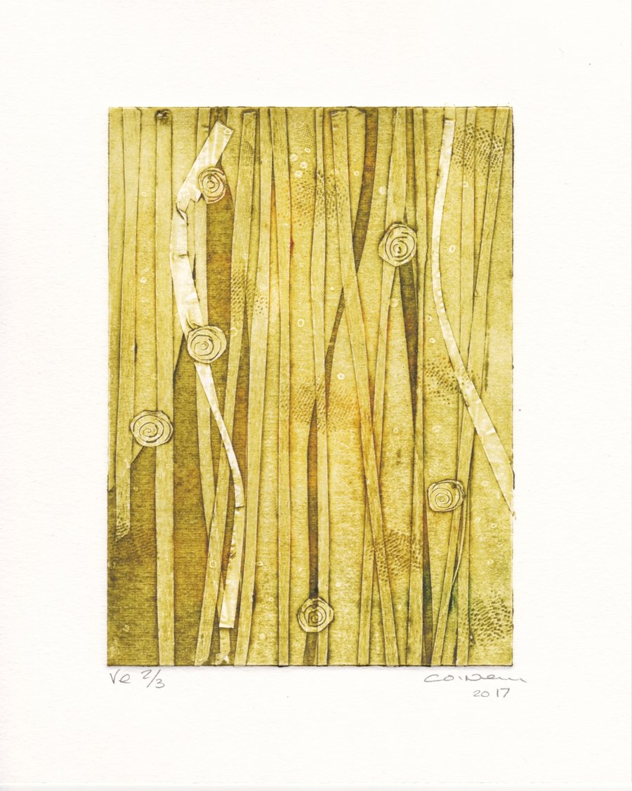 Long Grasses VE 2.3 - Original Print 