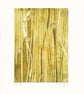 Long Grasses VE 2.3 - Original Print 