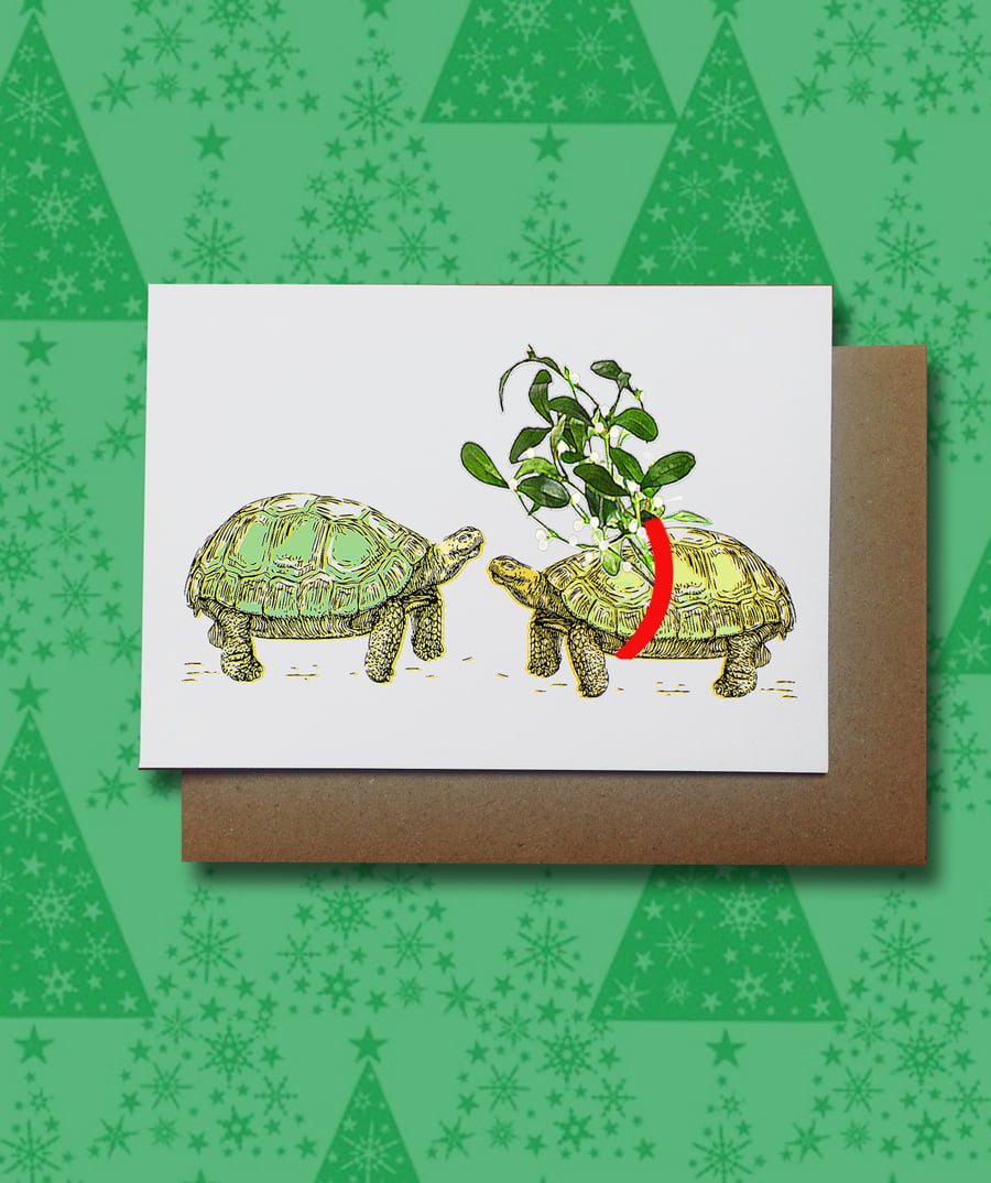 Animal Tortoise Christmas Card, Mistletoe Tortoise 