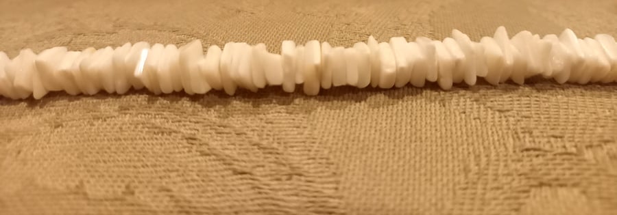 Shell bracelet 