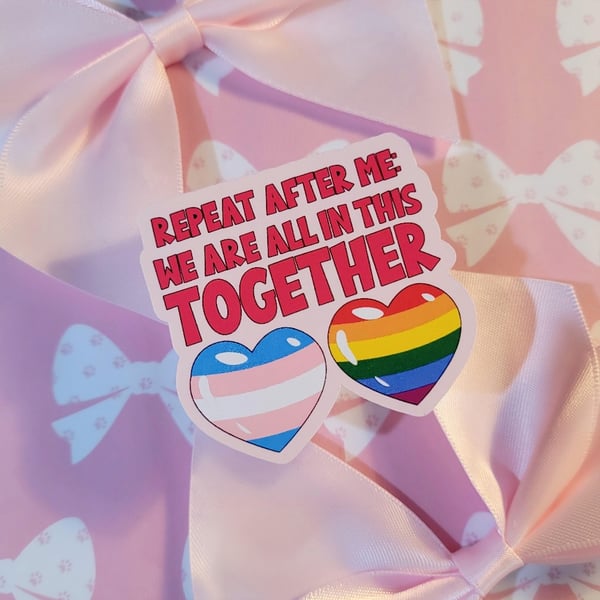 Trans Rights Sticker