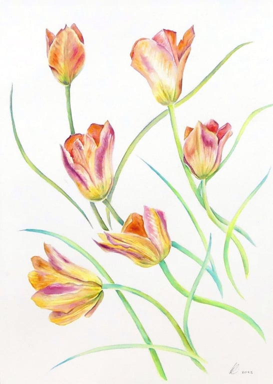 Tulip Flowers Botanical Watercolour Original Painting