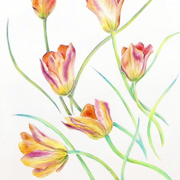 Tulip Flowers Botanical Watercolour Original Painting