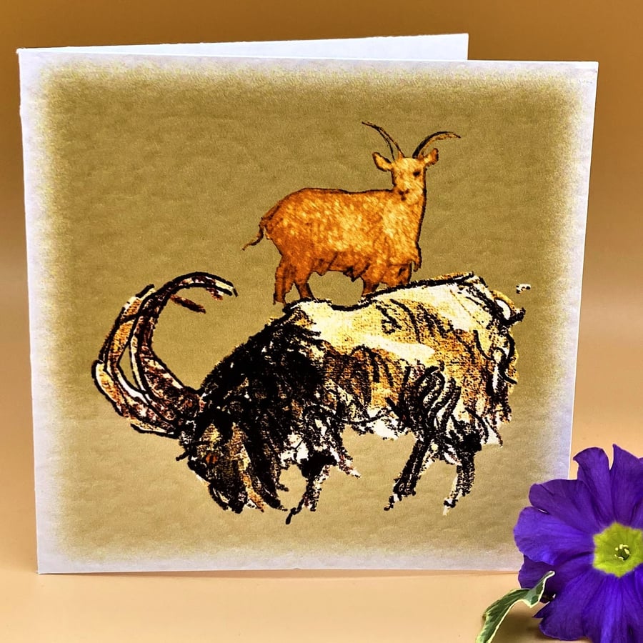 Greetings Card, Colourful Billy and ginger Nanny goat, Blank for own message. 