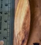 Handmade Hawthorn Wood Kilt Pin — 5th Anniversary Gift, Surfboard Lapel Pin - Image 3