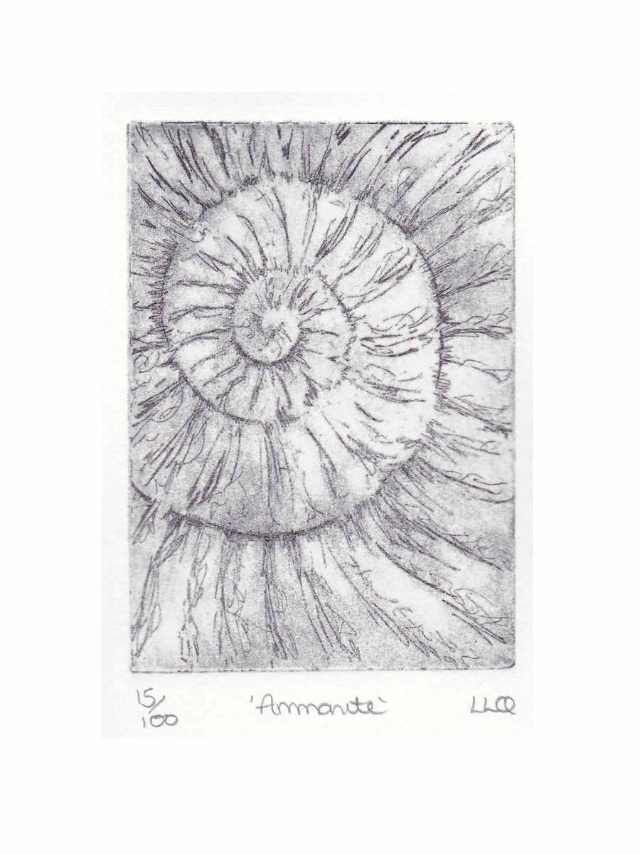 Etching no.15 of an ammonite fossil in an edition of 100