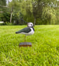 Lapwing (Peesie) - Image 6
