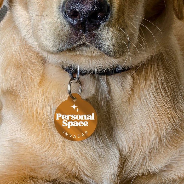 Personal Space Invader - Personalised Dog ID Tag: Custom Pet Safety Accessories