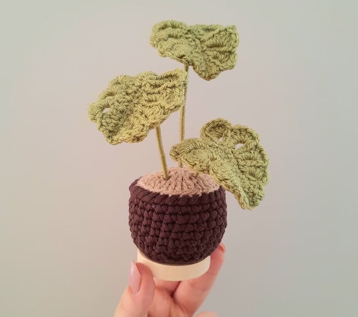 cute crochet club