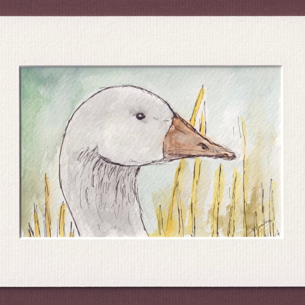 White goose - original painting, pen, ink and watercolour
