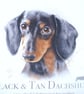 Dachshund, Yorkie, Maltese, long haired Dachshund portrait cushion - Image 5