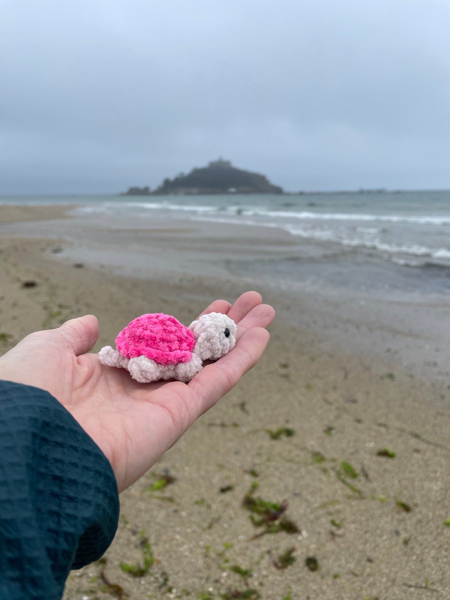 CUSTOMISED Mini Amigurumi Plushie Sea Turtle: Thin Chenille Yarn