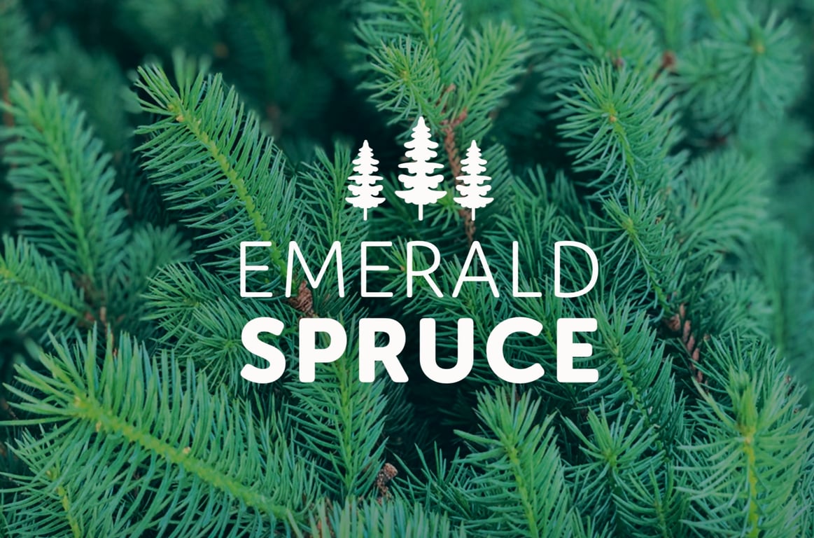 Emerald Spruce