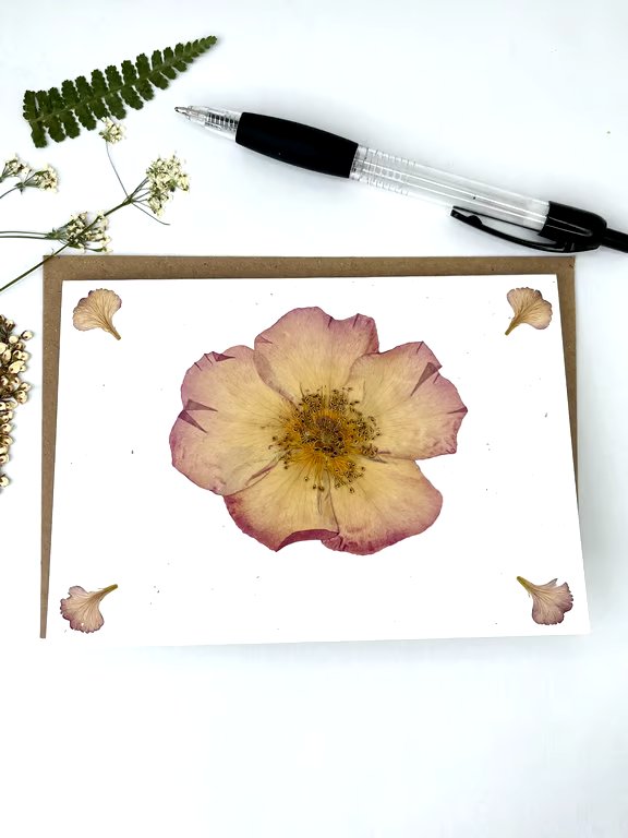 Handmade Real Pressed Rose Greeting Card, Wedding, Anniversary, Birthday